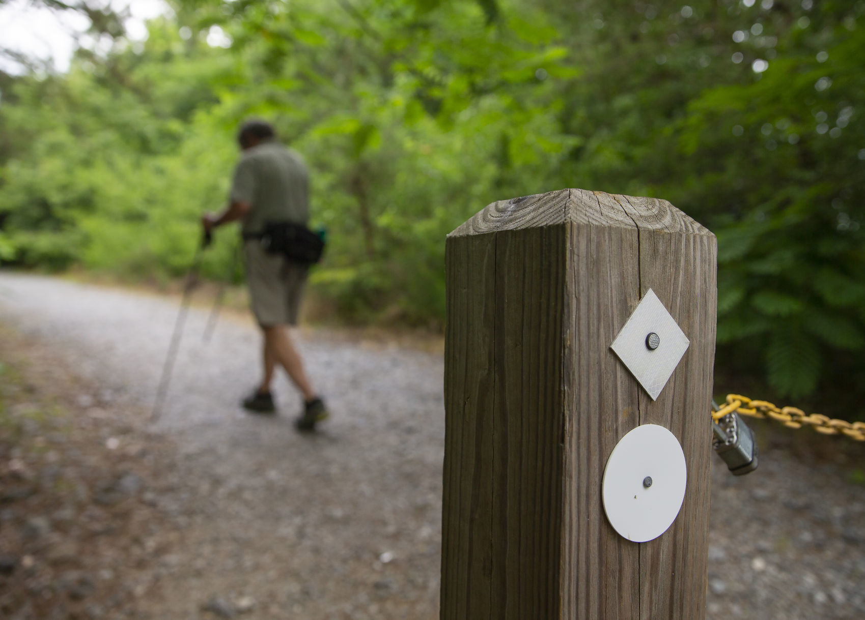 Cascades Preserve hiking trail